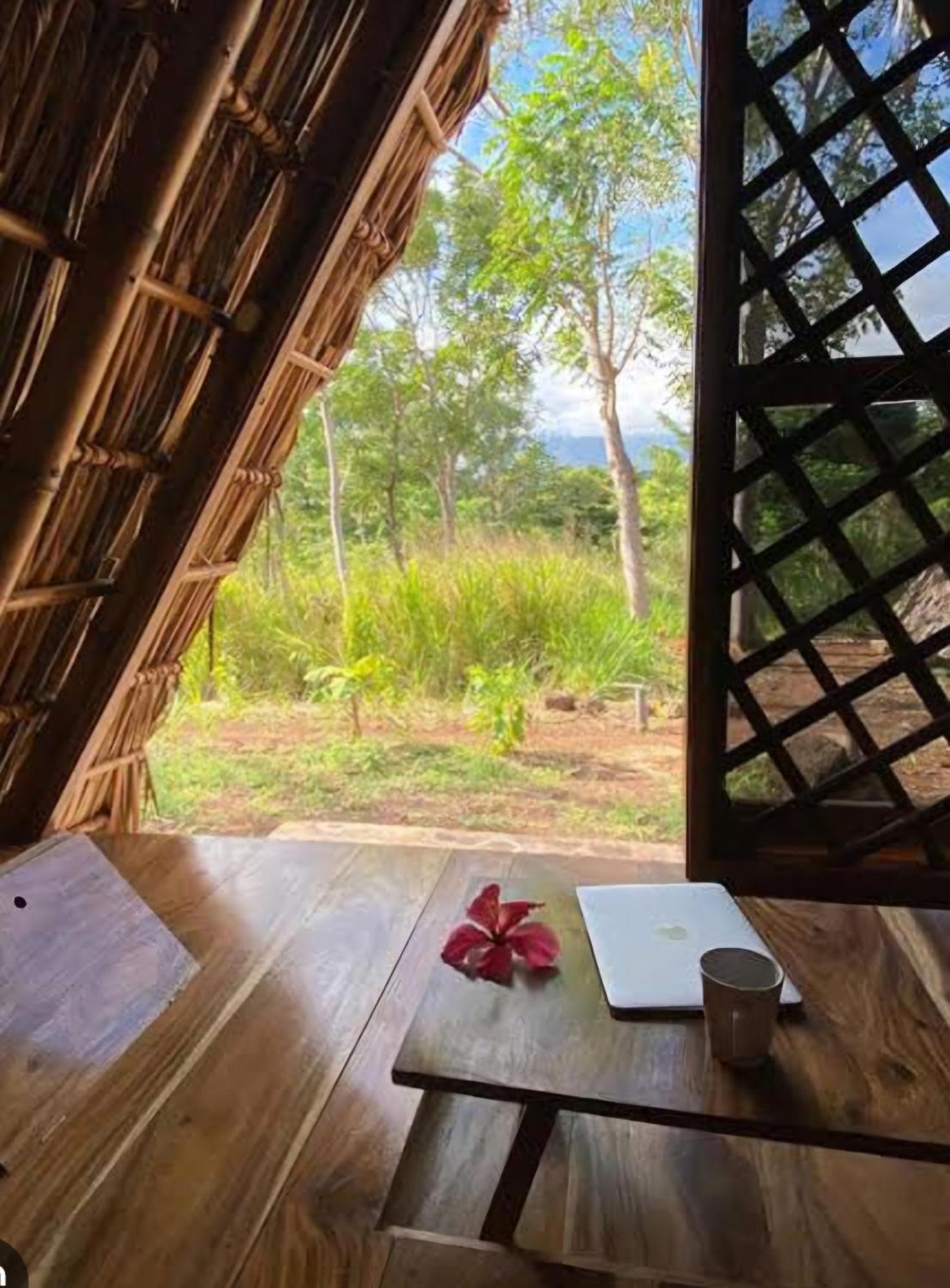 Nirvana Bamboo Houses & Dive Resort Moalboal Exterior photo